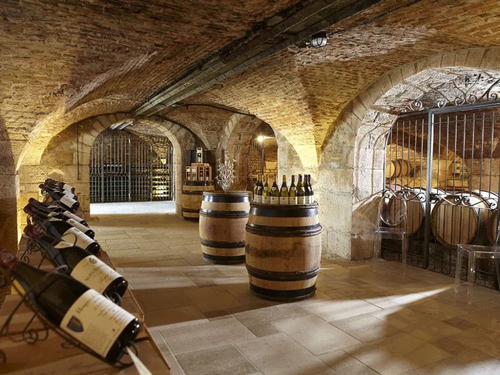 An ancient wine cellar with a vaulted brick ceiling and large wooden barrels provides a perfect setting for a wine tasting.