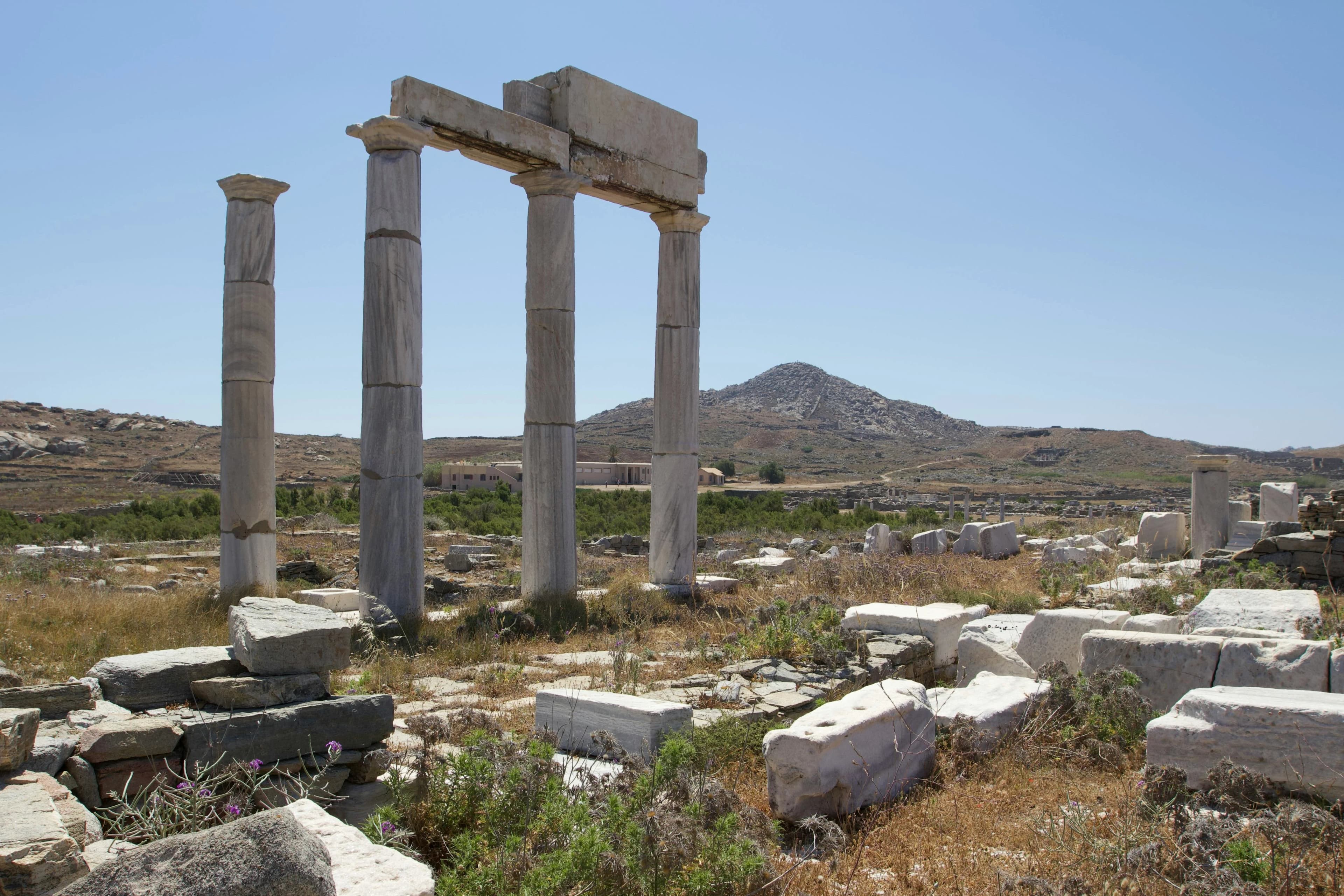 The iconic marble statues of lions stand in a line on the island of Delos, with ancient ruins and a distant mountain behind them.