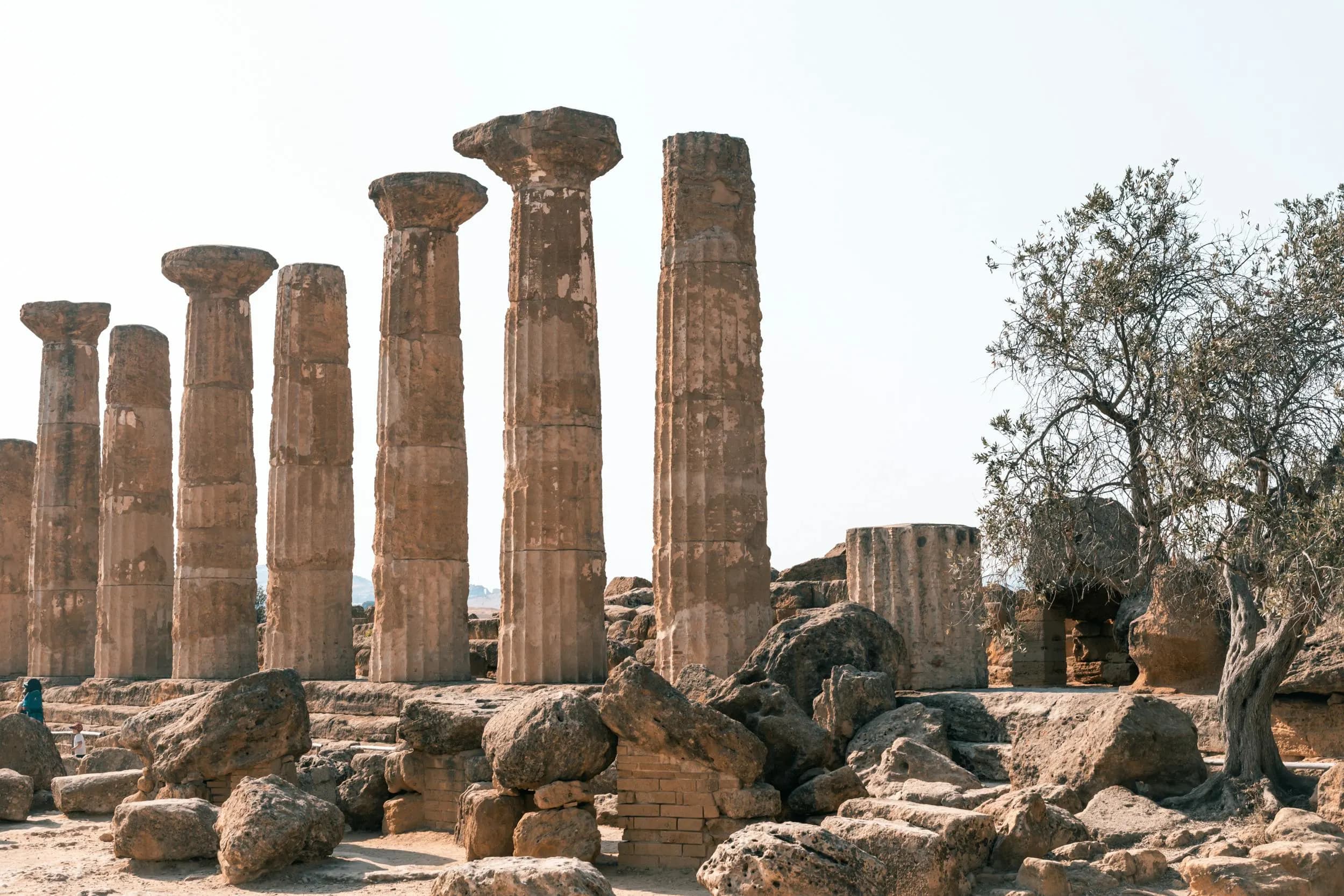 The historic, well-preserved columns of a Greek temple stand on a hill, with an olive tree and the modern city of Agrigento in the distance.