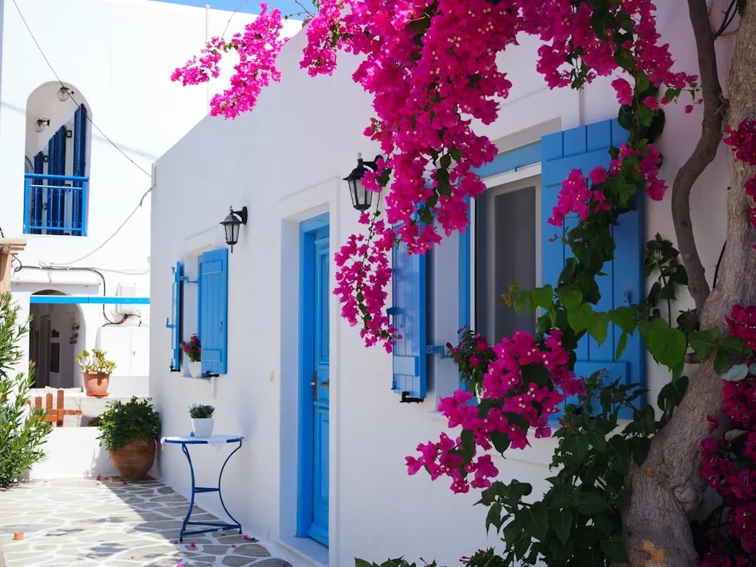 A traditional whitewashed building with bright blue shutters and a profusion of pink bougainvillea flowers is a highlight of the island.