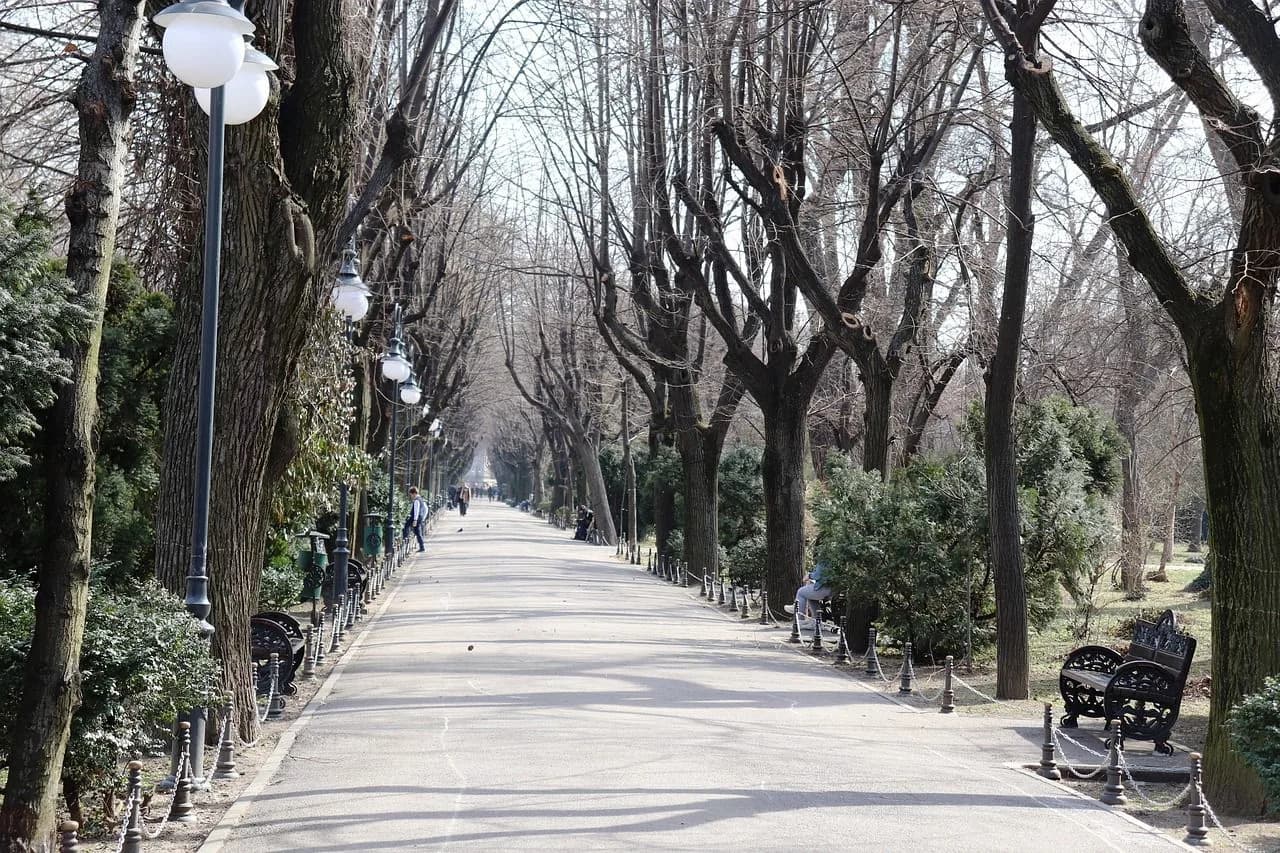 A wide, tree-lined path with benches on both sides offers a peaceful retreat in one of Bucharest's many parks.