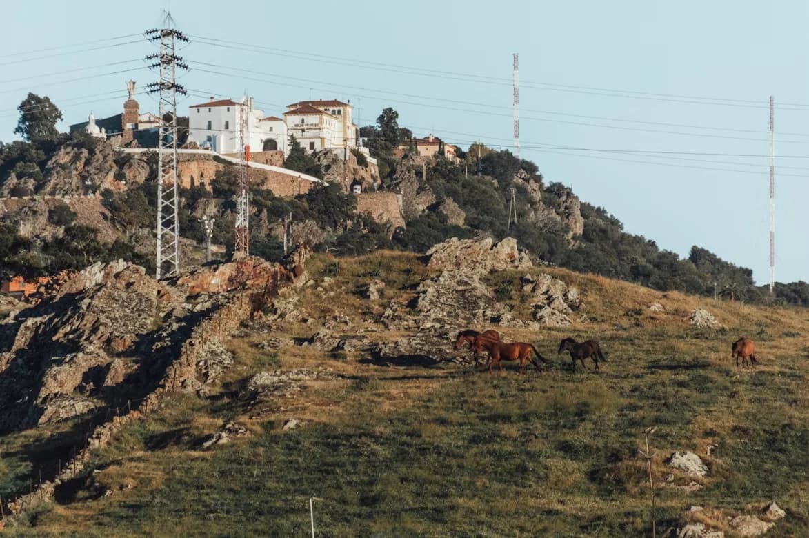 Wild horses graze on a rocky, grassy hillside, with a historic white building and a transmission tower in the background.