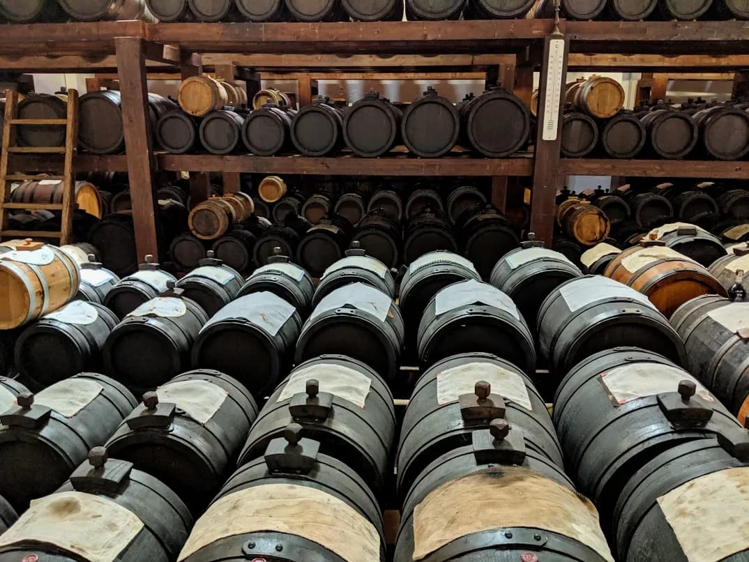 An underground cellar is filled with rows of large wooden barrels, a classic setting for aging balsamic vinegar.