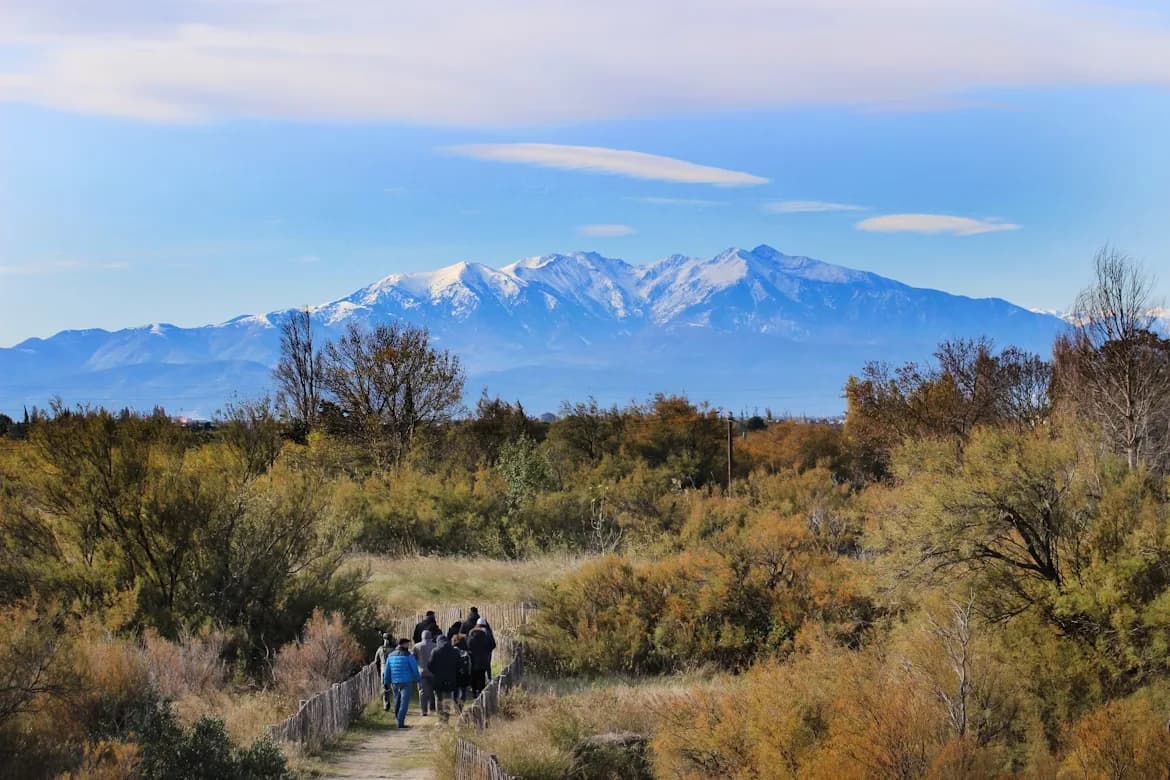 A group of hikers walks along a path, with a stunning view of the snow-capped Pyrenees mountains in the distance.