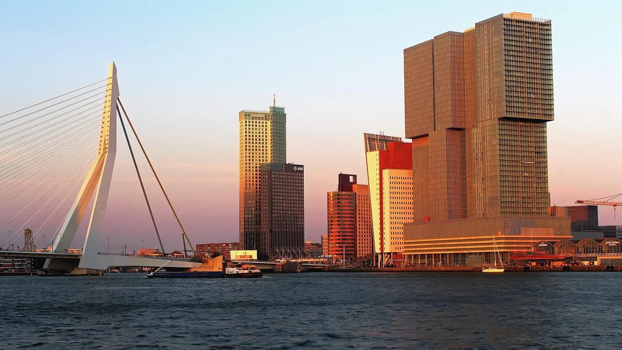 The Erasmus Bridge, with its unique white pylon, stands tall against the Rotterdam city skyline.