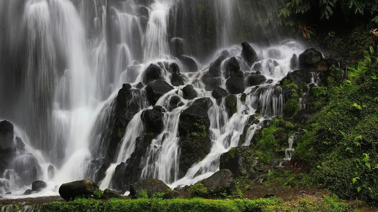 A geothermal hot spring, surrounded by lush green plants and trees, is a unique and relaxing spot on São Miguel.